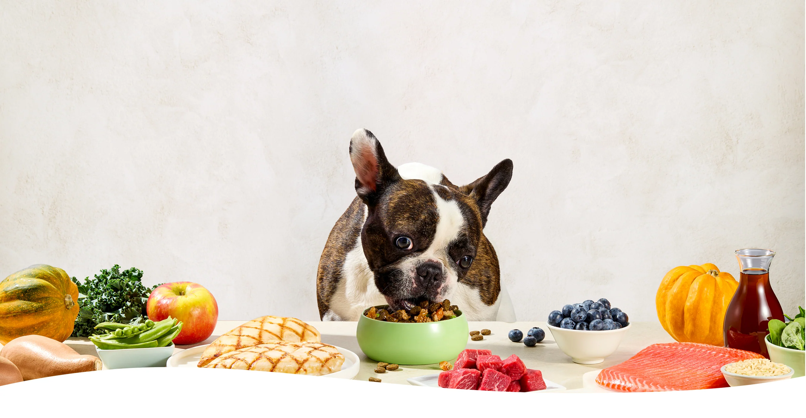 Nutrition Your Pets Will Crave